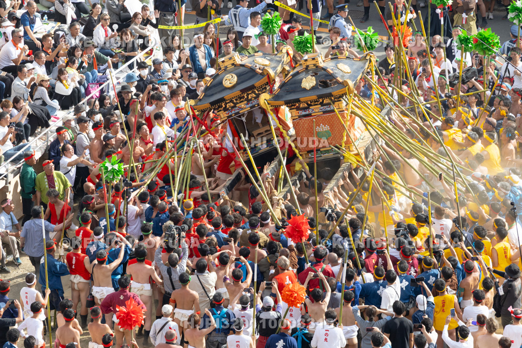兵庫県 灘のけんか祭り(本宮) 神輿練り合わせ