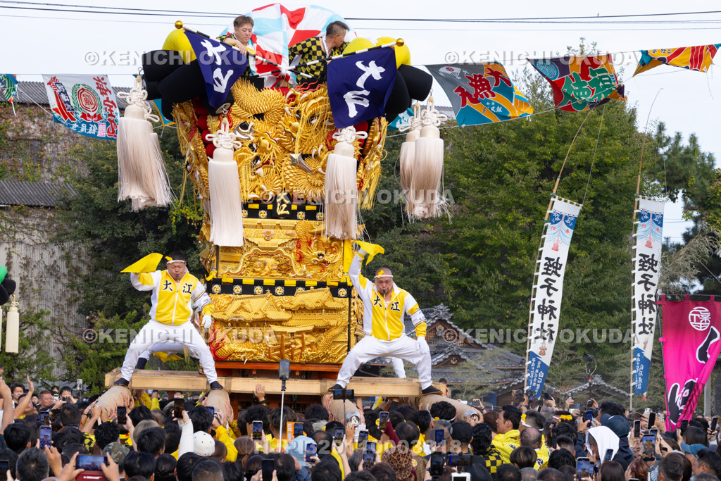 愛媛県 新居浜太鼓祭り 大江浜かきくらべ