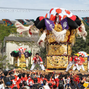 愛媛県　新居浜太鼓祭り　大江浜かきくらべ