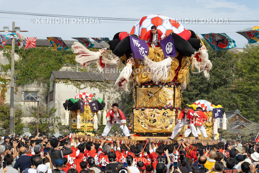 愛媛県 新居浜太鼓祭り 大江浜かきくらべ
