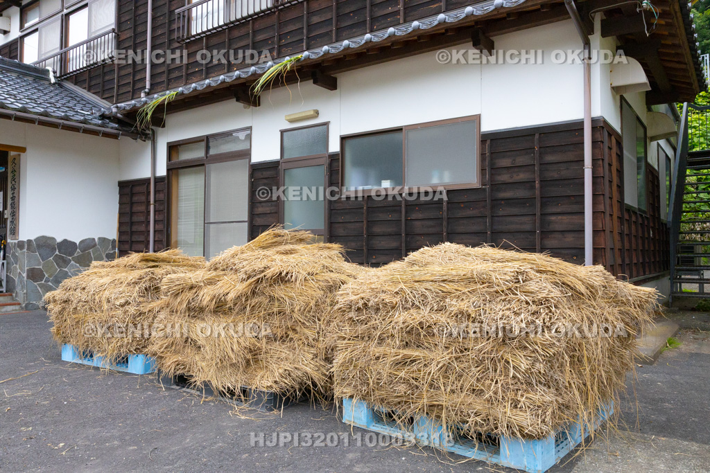 兵庫県　但馬久谷の菖蒲綱引き　藁
