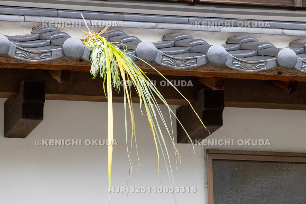兵庫県 但馬久谷の菖蒲綱引き 屋根に上げられた菖蒲・よもぎ・すすき