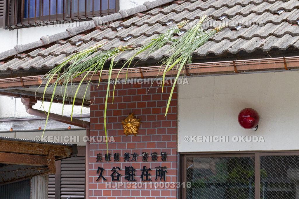 兵庫県　但馬久谷の菖蒲綱引き　屋根に上げられた菖蒲・よもぎ・すすき