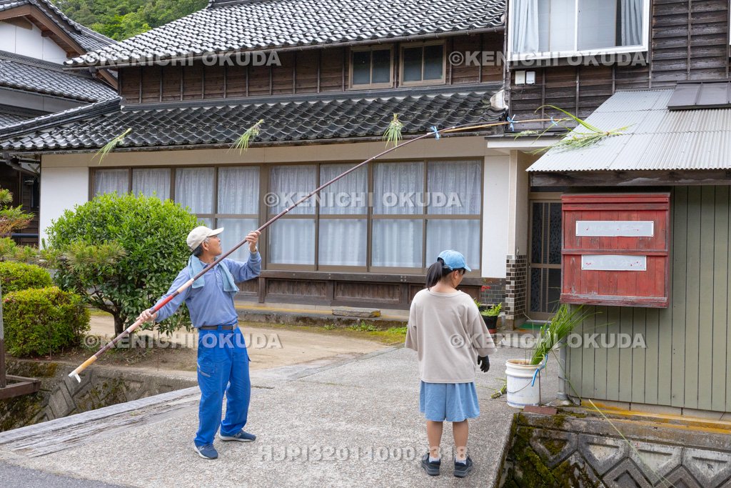 兵庫県　但馬久谷の菖蒲綱引き　菖蒲おろし
