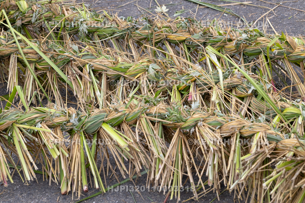 兵庫県　但馬久谷の菖蒲綱引き　綱