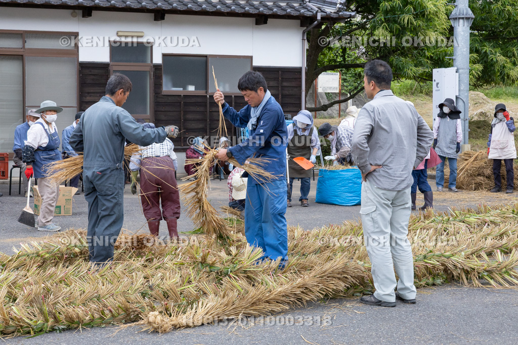 兵庫県 但馬久谷の菖蒲綱引き 綱作り