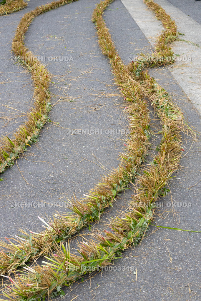 兵庫県 但馬久谷の菖蒲綱引き 綱