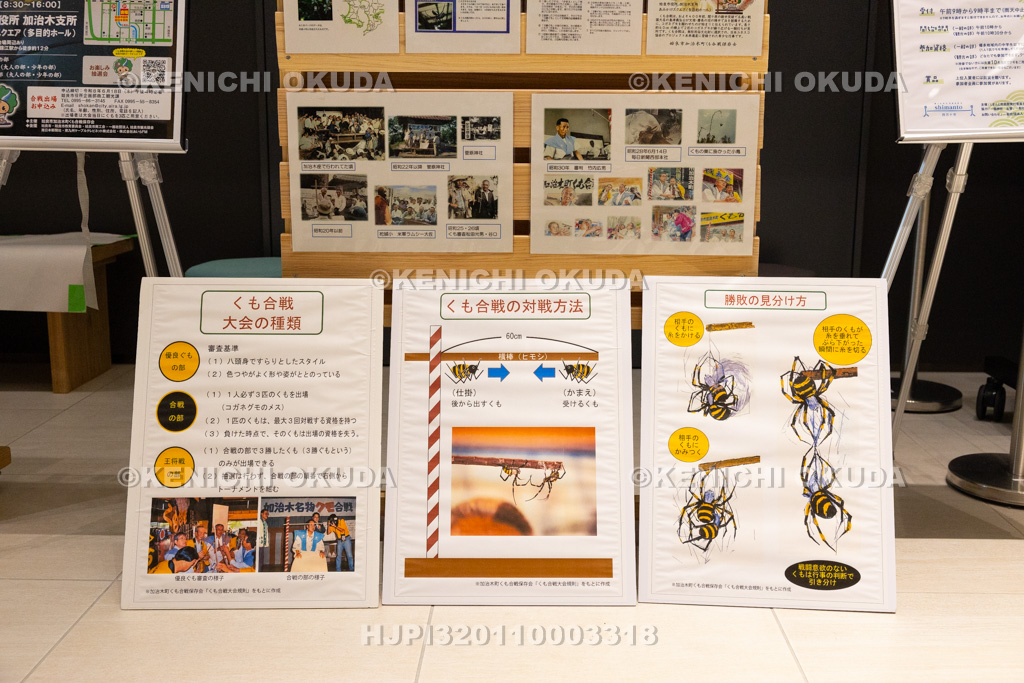 鹿児島県　姶良市加治木町　くも合戦大会　解説板