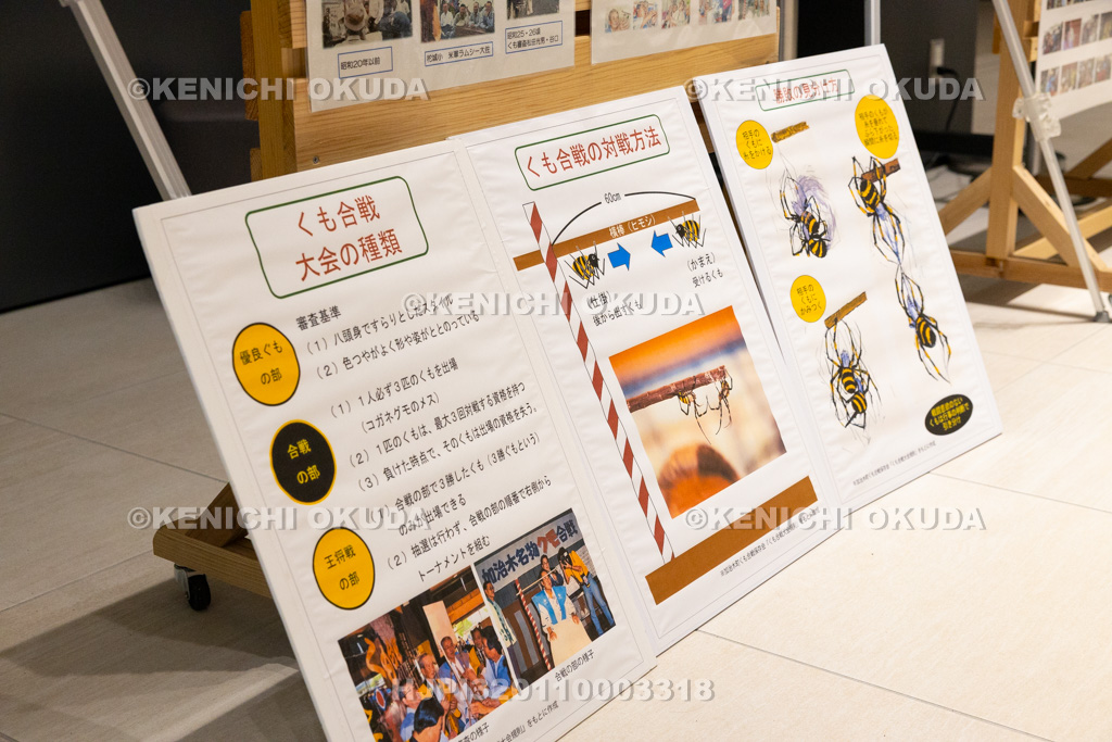 鹿児島県 姶良市加治木町 くも合戦大会 解説板