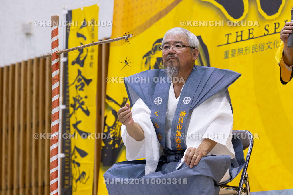 鹿児島県 姶良市加治木町 くも合戦大会 合戦の部