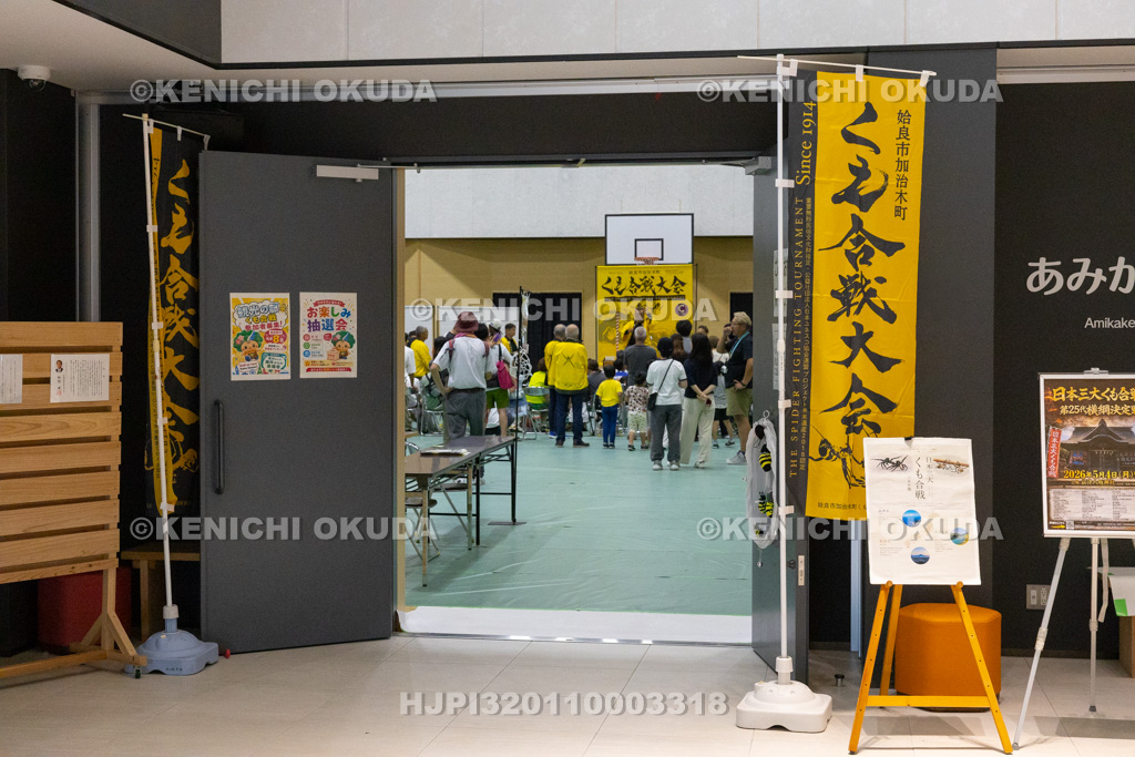 鹿児島県 姶良市加治木町 くも合戦大会