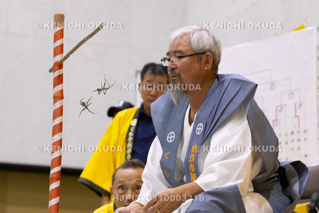 鹿児島県　姶良市加治木町　くも合戦大会　王将戦の部