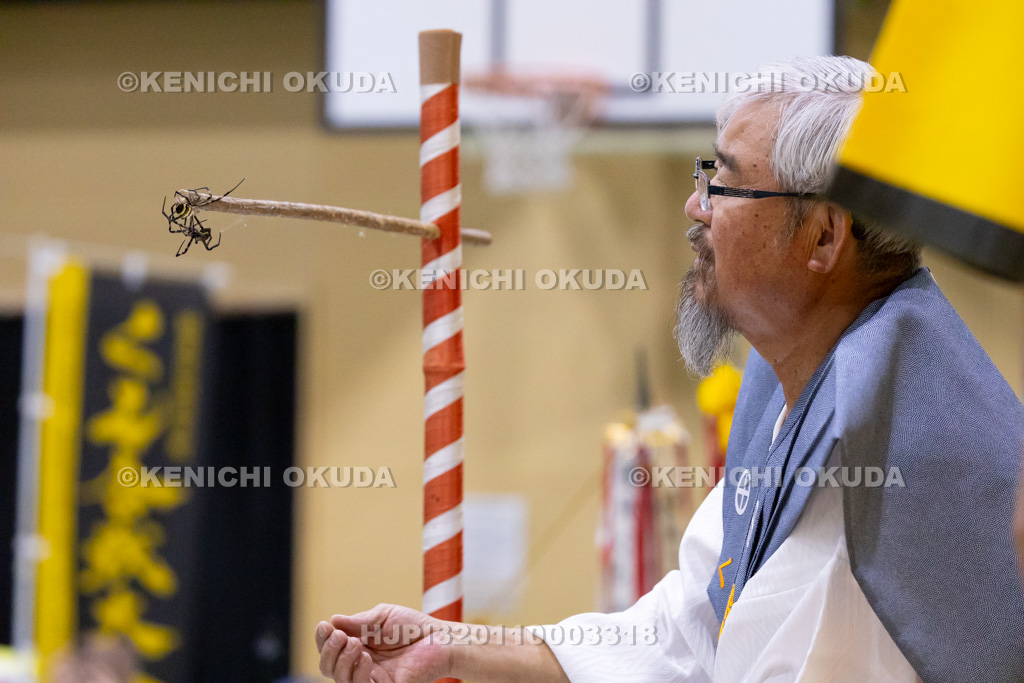 鹿児島県 姶良市加治木町 くも合戦大会 王将戦の部