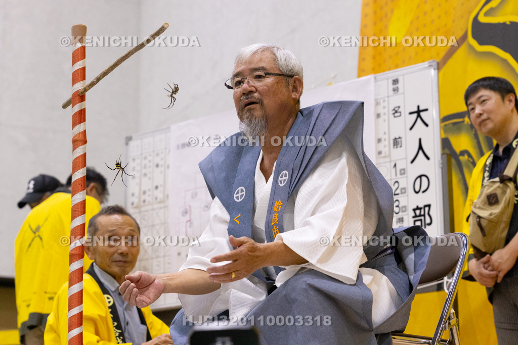 鹿児島県 姶良市加治木町 くも合戦大会 王将戦の部