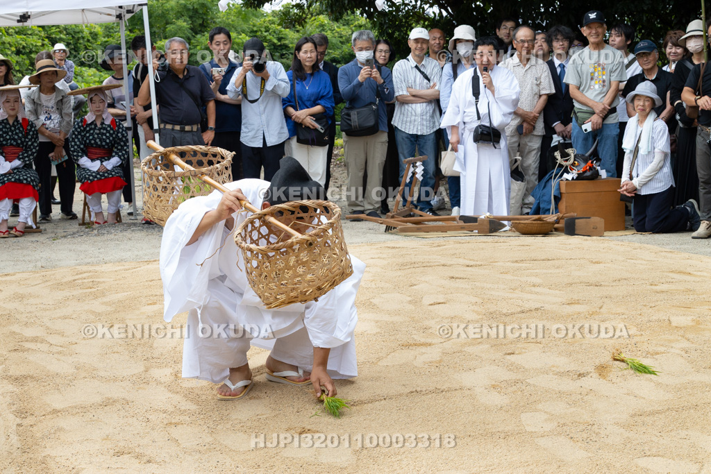 奈良県　石上神宮　神剣渡御祭　御田植神事