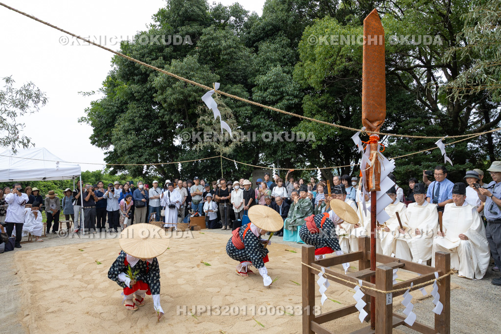 奈良県 石上神宮 神剣渡御祭 御田植神事