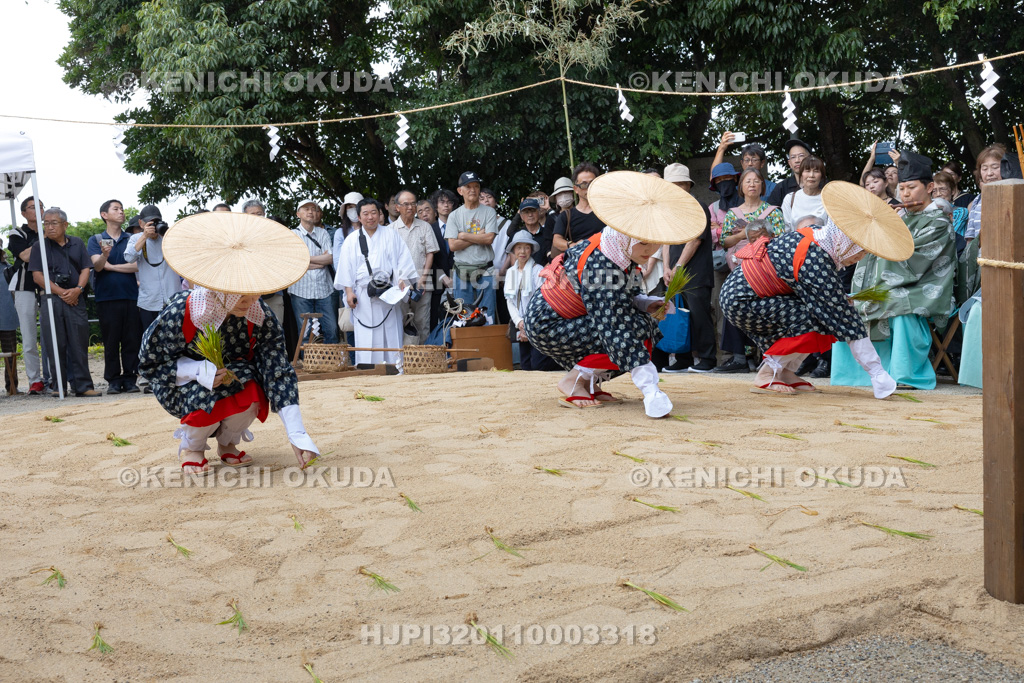奈良県　石上神宮　神剣渡御祭　御田植神事