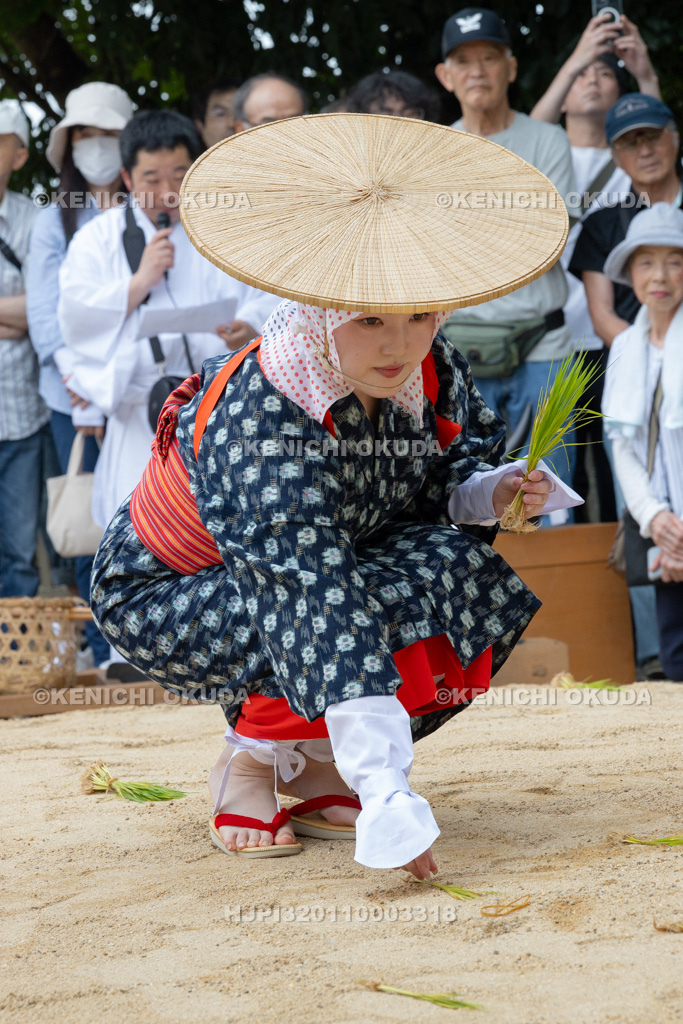 奈良県　石上神宮　神剣渡御祭　御田植神事