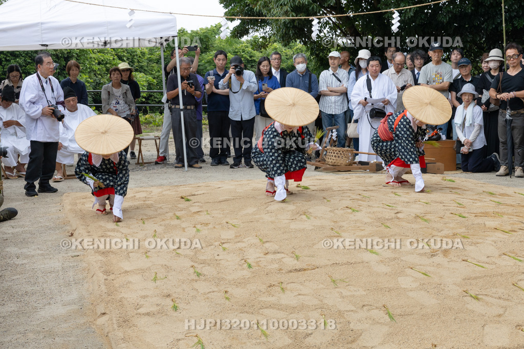 奈良県 石上神宮 神剣渡御祭 御田植神事