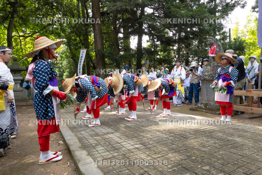 福島県　慶徳稲荷神社　御田植祭　早乙女踊り奉納