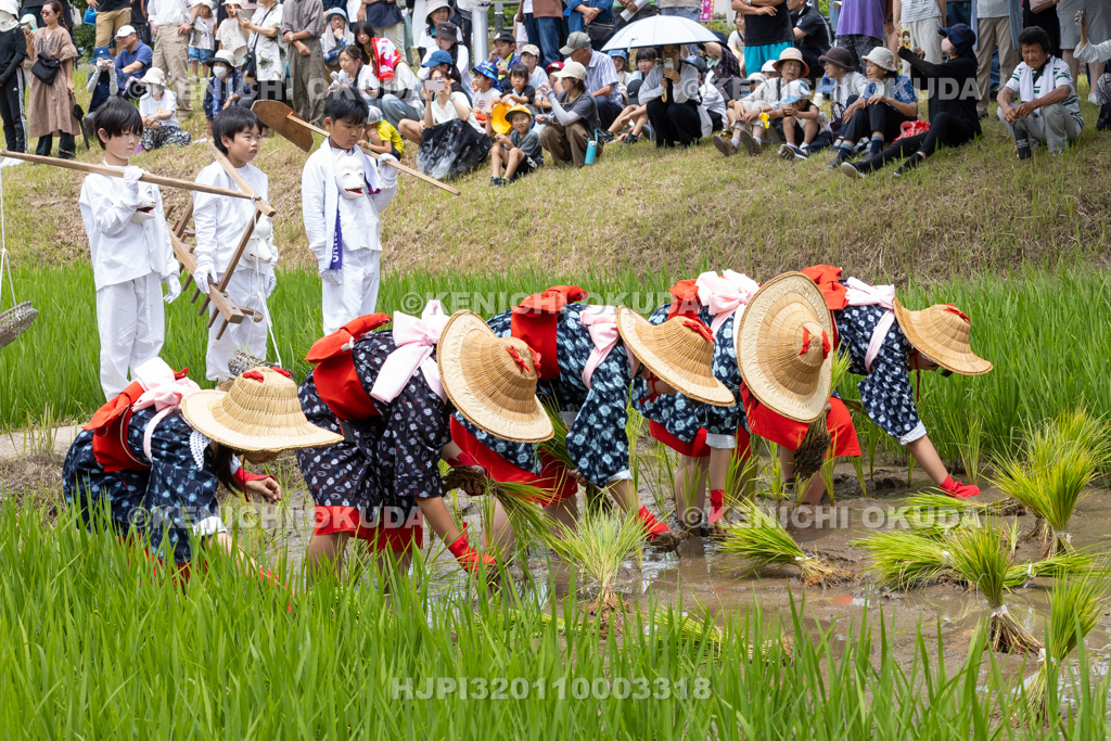 福島県　慶徳稲荷神社　御田植祭　御田植え