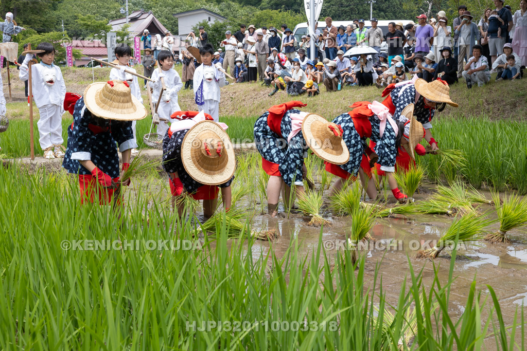 福島県　慶徳稲荷神社　御田植祭　御田植え
