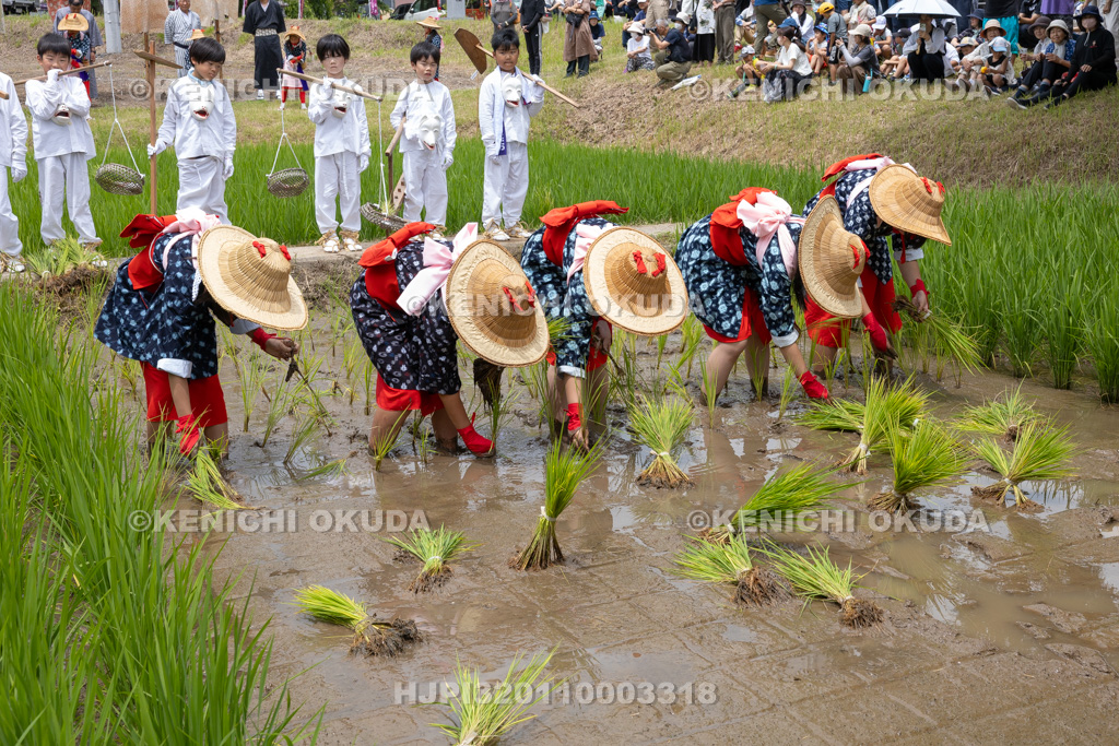 福島県　慶徳稲荷神社　御田植祭　御田植え