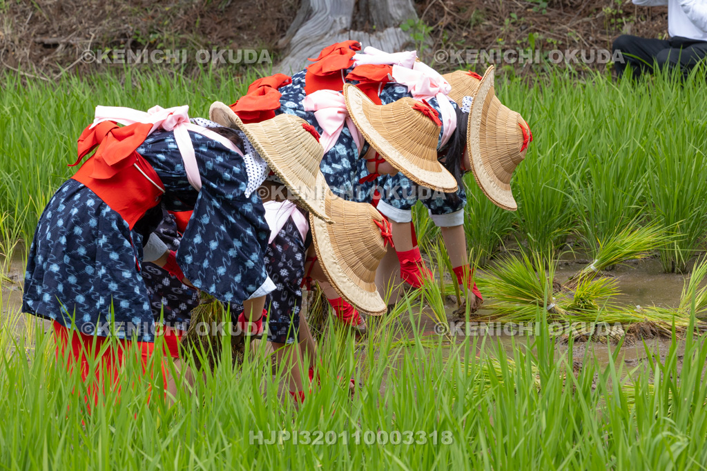 福島県　慶徳稲荷神社　御田植祭　御田植え