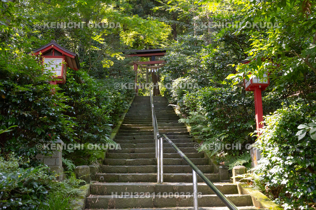 新潟県 西奈彌羽黒神社 参道
