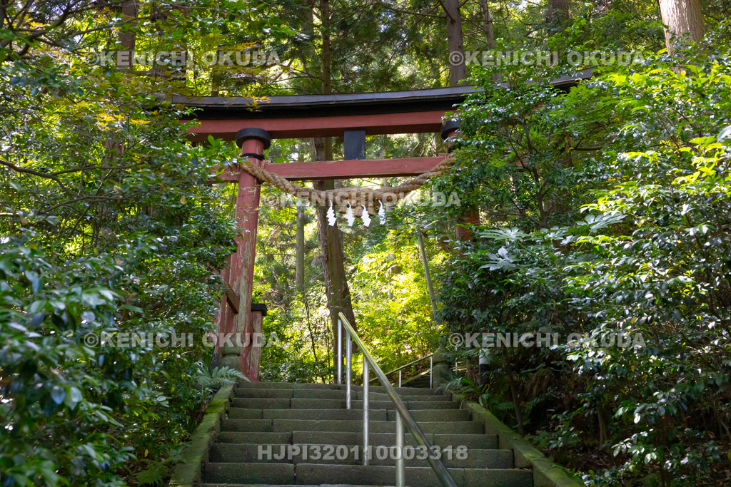 新潟県　西奈彌羽黒神社　参道