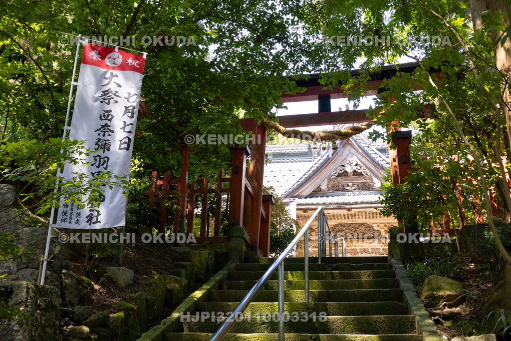 新潟県 村上大祭 西奈彌羽黒神社 拝殿と参道