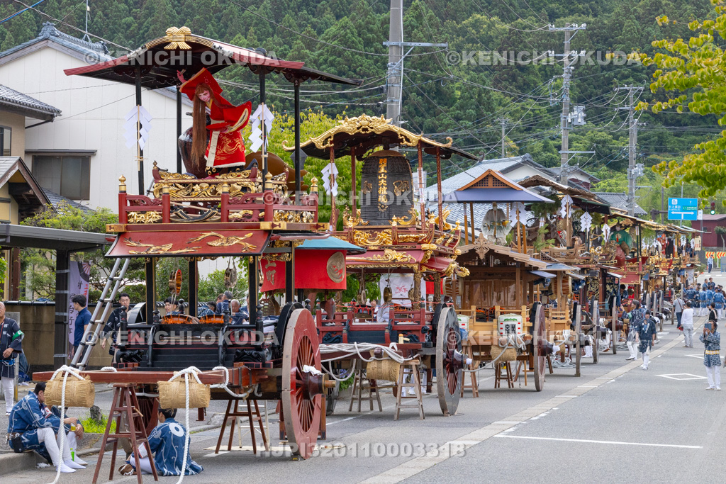 新潟県 村上大祭 本祭り 羽黒神社前曳き揃え