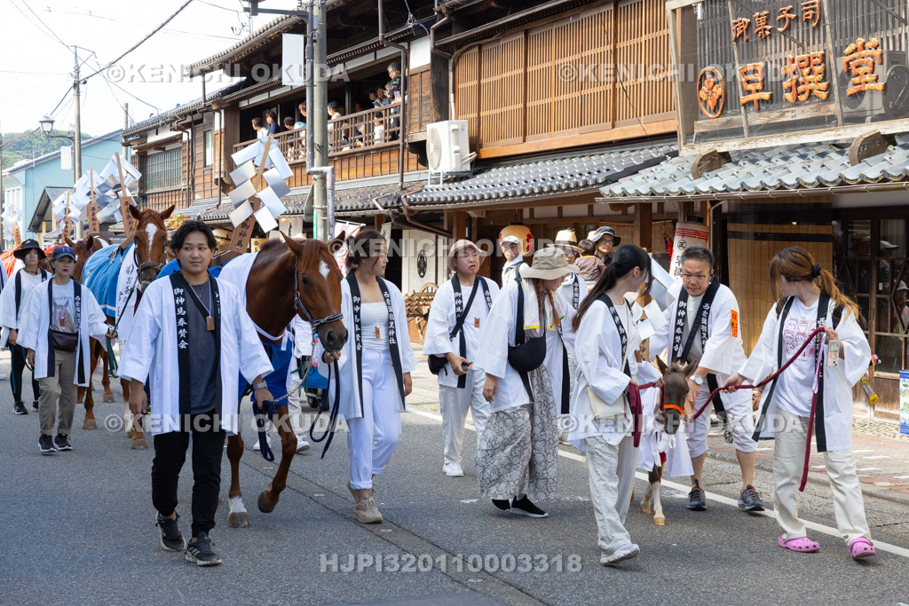 新潟県 村上大祭 本祭り 神輿渡御 神馬