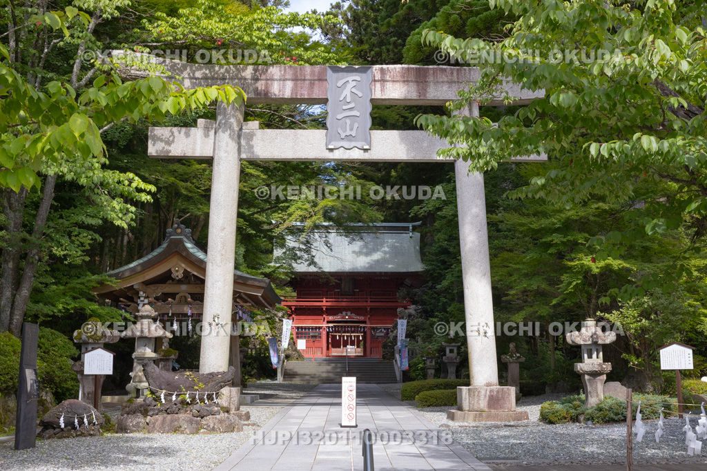 静岡県 東口本宮冨士浅間神社 参道