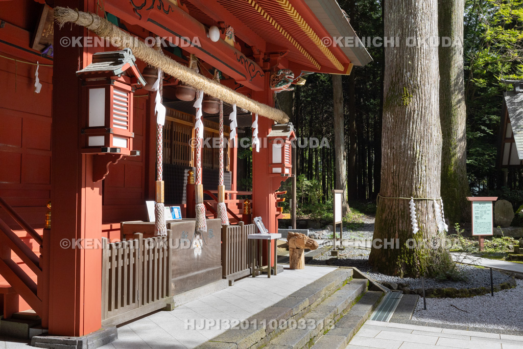 静岡県　東口本宮冨士浅間神社　拝殿