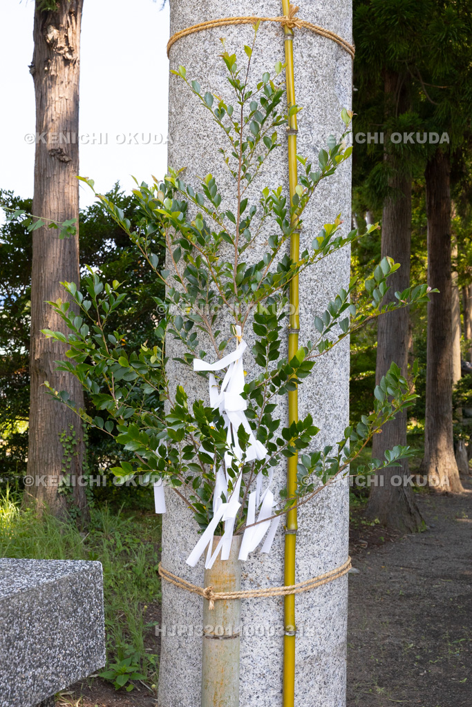 福島県　御宝殿熊野神社　祭礼行事　鳥居の榊