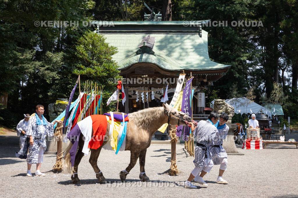 福島県 御宝殿の稚児田楽・風流 役馬の参拝