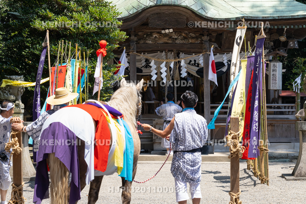 福島県　御宝殿の稚児田楽・風流　役馬の参拝