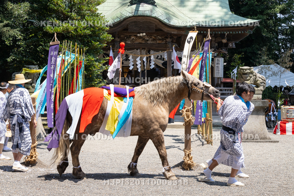 福島県　御宝殿の稚児田楽・風流　役馬の参拝